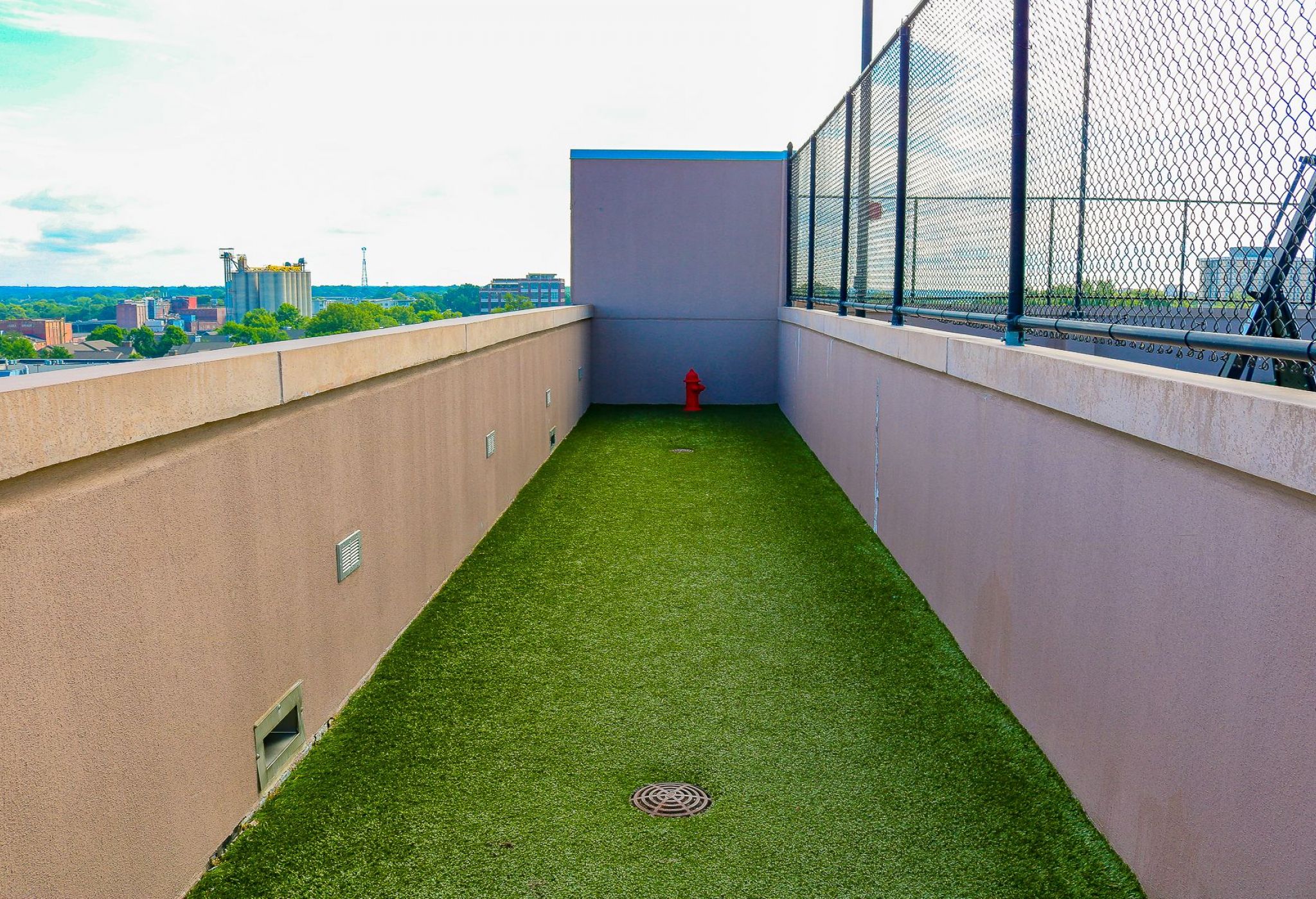 The Vue Charlotte amenity outdoor dog run with faux grass